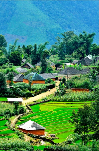 Bản làng của đồng bào dân tộc Hà Nhì ở Ý Tý, Lào Cai