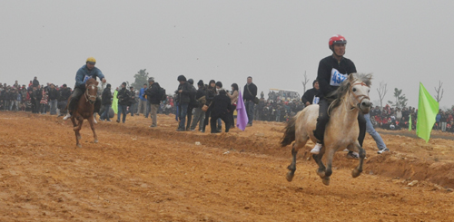 Hội đua ngựa của dân tộc Mông lần đầu tiên được tổ chức tại Hà Nội