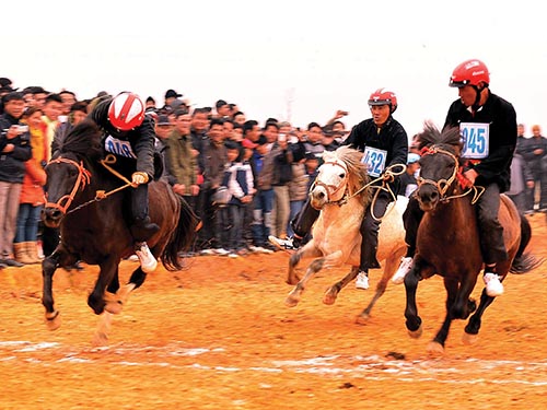 Hội đua ngựa của dân tộc Mông (Lào Cai) lần đầu tiên được tổ chức tại ‘‘Ngôi nhà chung’’