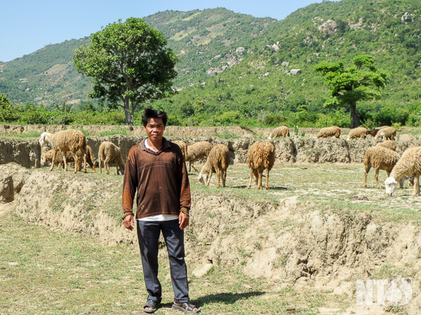 Anh Pô Pôn Bé nuôi cừu trên đồng cỏ vùng cao Phước Kháng