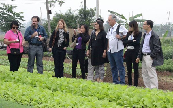 Khách nước ngoài tham quan mô hình trồng rau sạch ở thôn Tiền Huân:L.L
            