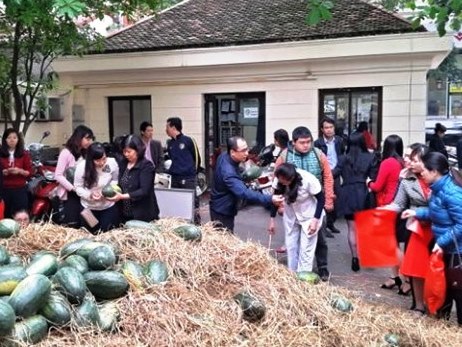 Việc cộng đồng hỗ trợ người nông dân trồng dưa hấu thể hiện tinh thần tương thân tương ái của người Việt