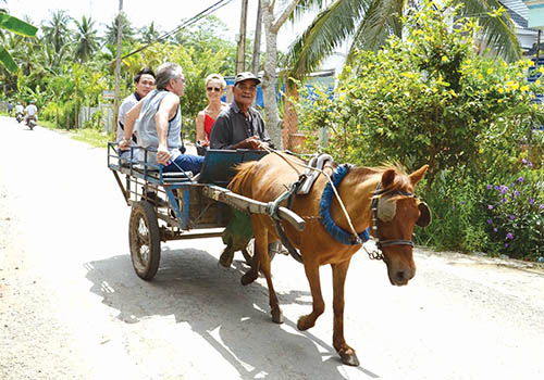 Xe ngựa là phương tiện được khách du lịch yêu thích vùng Bảy Núi