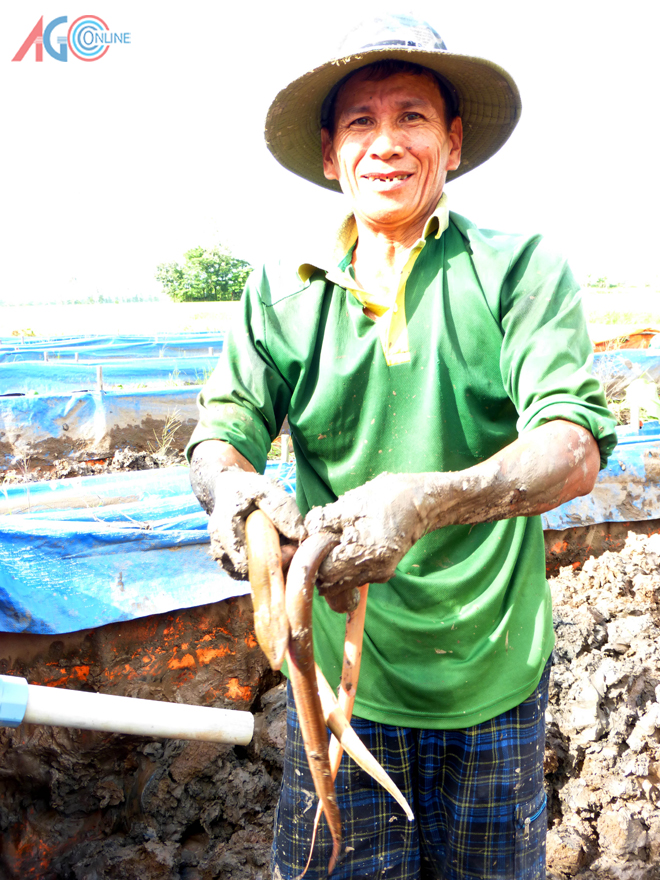 Săn lươn là nghề vất vả, cực nhọc nhưng đem lại thu nhập cho nhiều gia đình ở nông thôn, giúp họ vượt qua khó khăn, đói nghèo