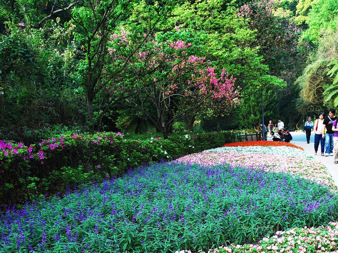 Mùa xuân là thời điểm du khách đổ về Công viên Dương Minh Sơn