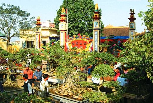 Lễ hội cây cảnh ở Vị Khê
