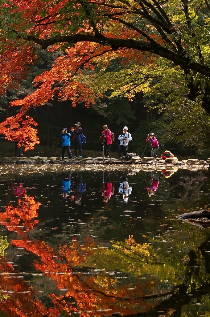Cảnh mùa thu Hàn Quốc là nguồn cảm hứng sáng tác nghệ thuật cho bao du khách.