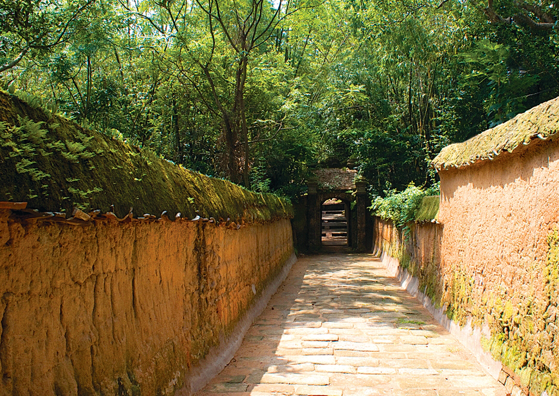 Lối vào chùa Bổ Đà rêu phong cổ kính