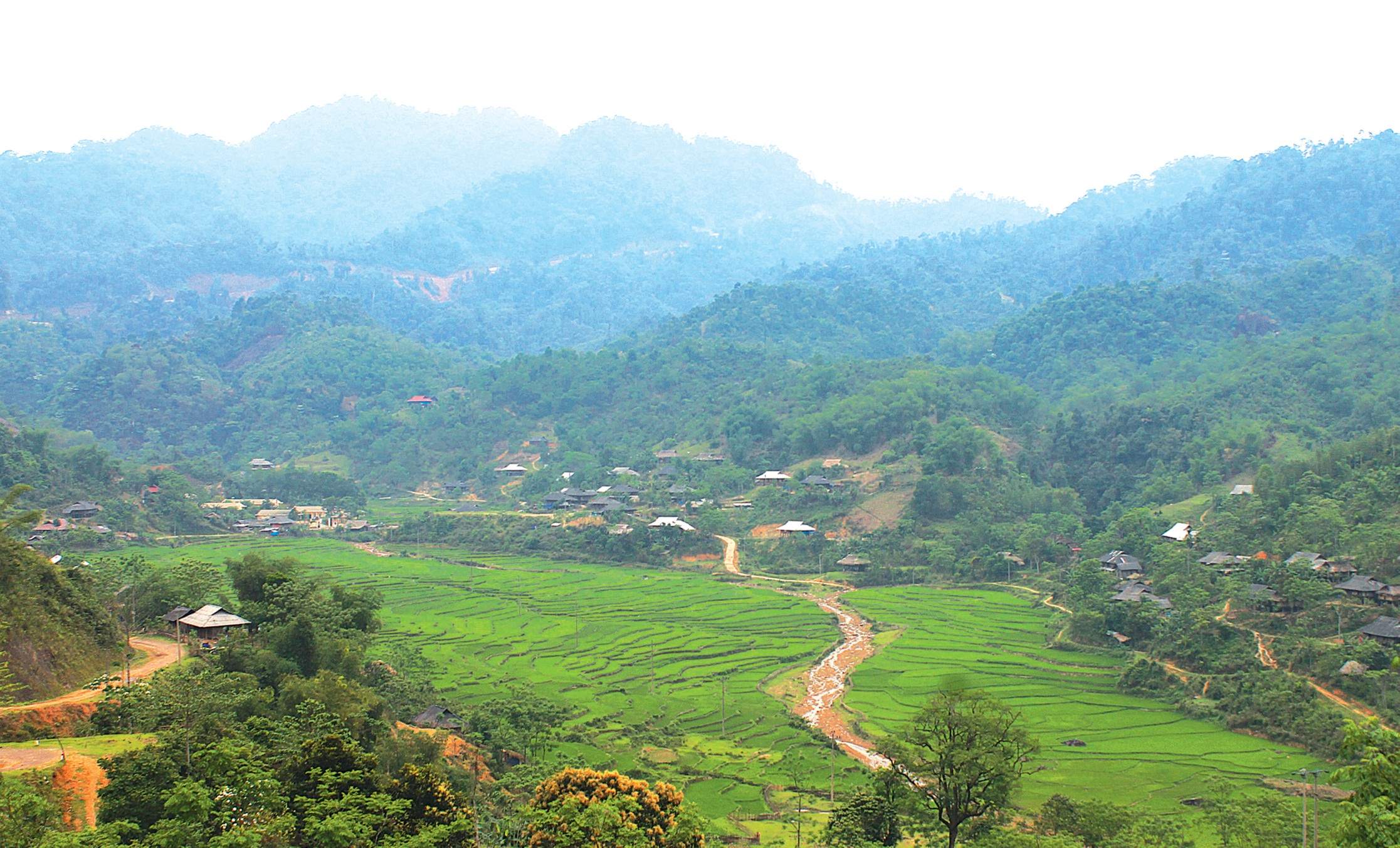 Toàn cảnh bản Năng Cát, xã Trí Nang, huyện Lang Chánh