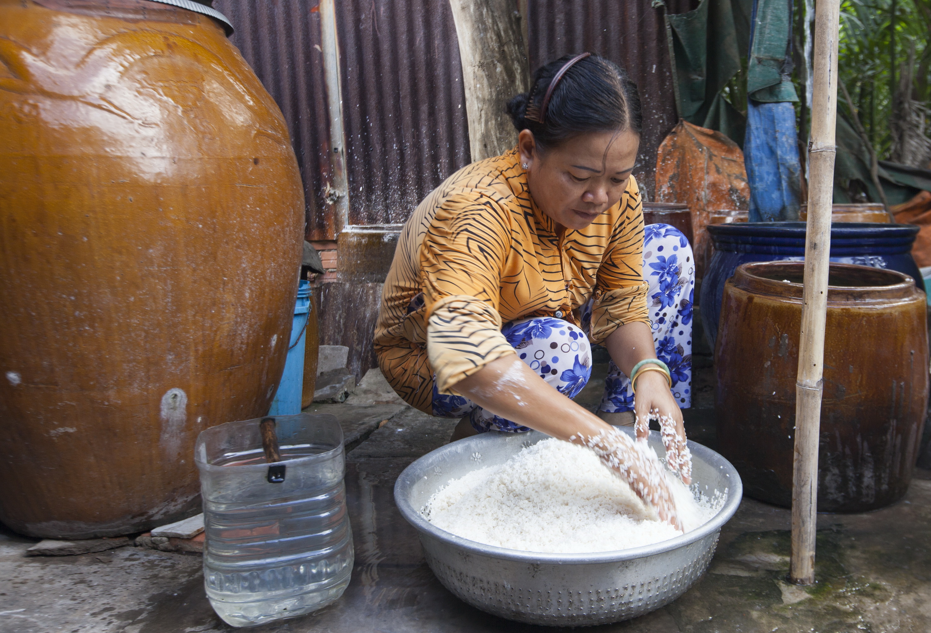 Gạo để làm bánh tráng Nhơn Hòa là loại gạo 504 ngâm khoảng 24 tiếng với nguồn nước giếng của làng                                                      