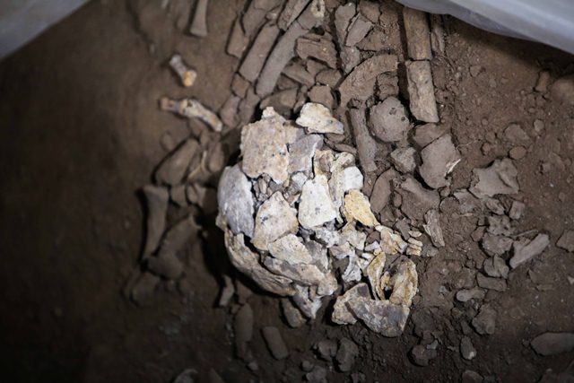 Hài cốt của người Việt cổ được các nhà khảo cổ khai quật trog hang