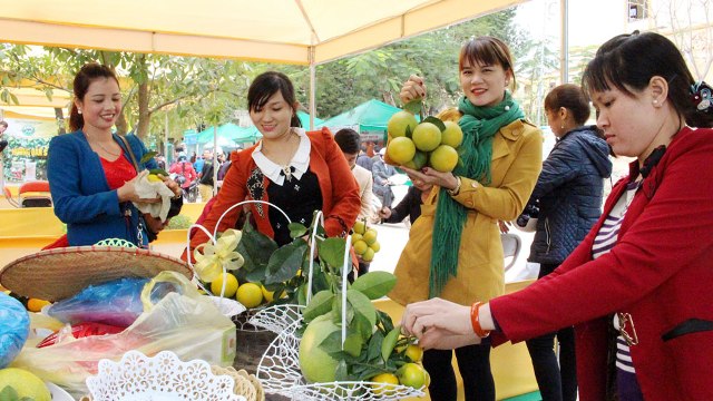 Gian hàng trưng bày trái cây tại Ngày hội trái cây Lục Ngạn lần thứ II