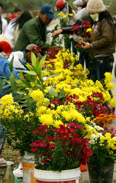 Hoa được người dân bày bán ngay tại ruộng môi khi tới ngày lễ
