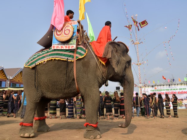 Con voi được trang điểm hoàn chỉnh tham gia diễu hành trong ngày Hội voi ở Buôn Đôn