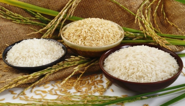 Gạo Việt Yên được tiêu thụ rộng rãi trong và ngoài tỉnh